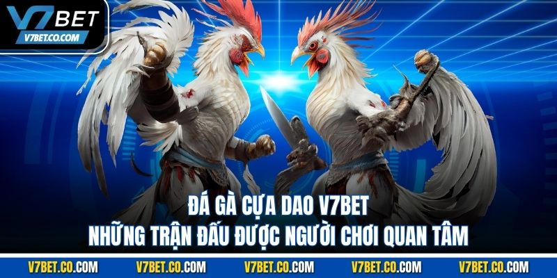 Đá Gà Cựa Dao V7bet – Những Trận Đấu Được Người Chơi Quan Tâm