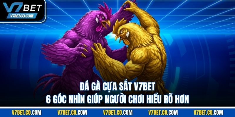 Đá Gà Cựa Sắt V7bet – 6 Góc Nhìn Giúp Người Chơi Hiểu Rõ Hơn
