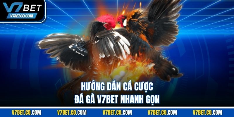Hướng dẫn cá cược đá gà v7bet nhanh gọn 