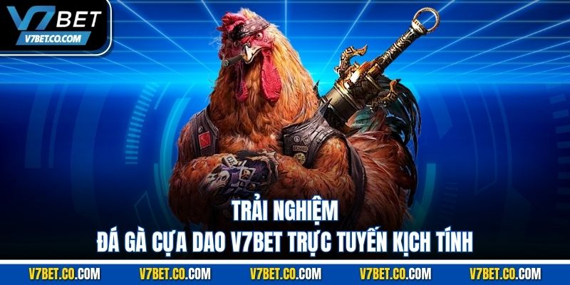 Trải nghiệm đá gà cựa dao v7bet trực tuyến kịch tính 