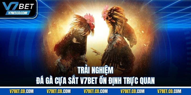 Trải nghiệm đá gà cựa sắt v7bet ổn định trực quan