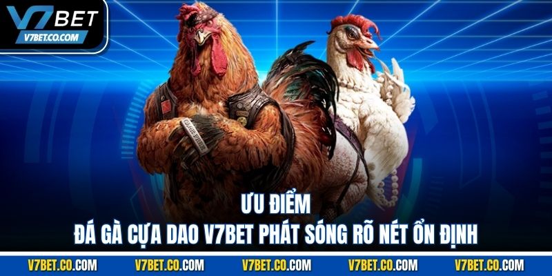 Ưu điểm đá gà cựa dao v7bet phát sóng rõ nét ổn định